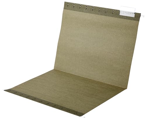 Basics Hanging File Folders with Adjustable Tabs, Sturdy Expandable