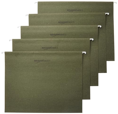 Basics Hanging File Folders with Adjustable Tabs, Sturdy Expandable
